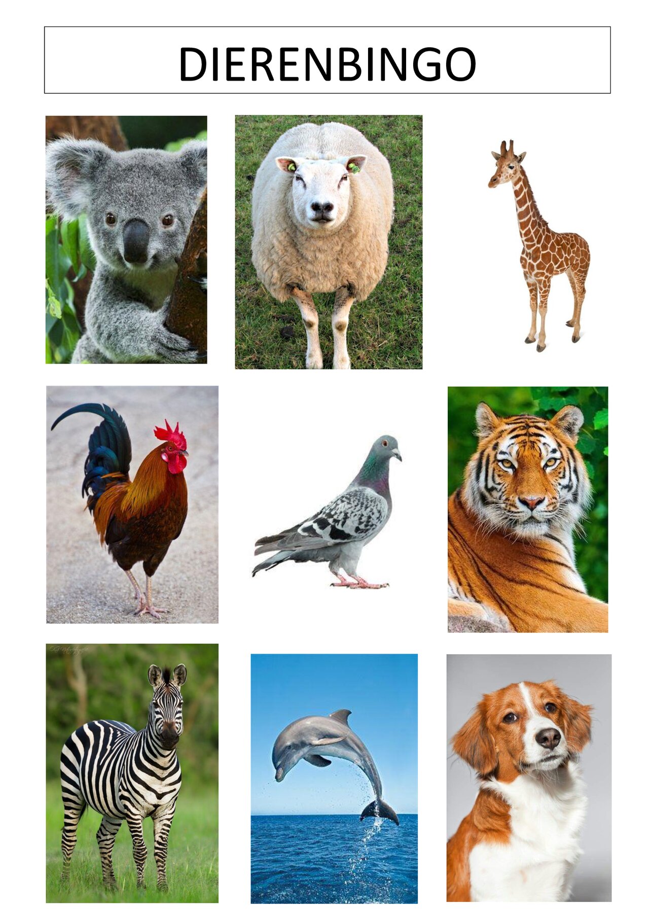 Preview van Dierenbingo---SPEELKAARTEN.pdf