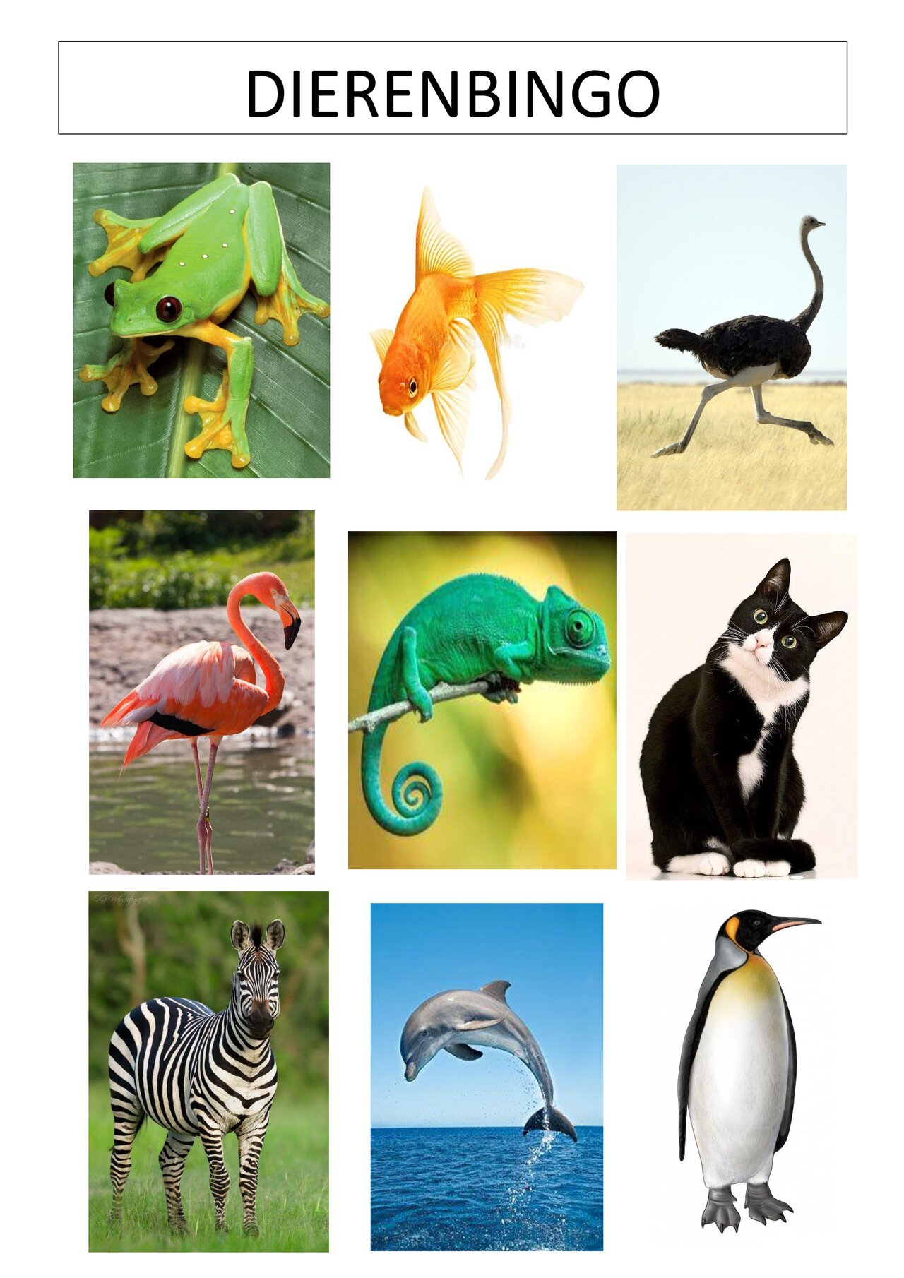 Preview van Dierenbingo---SPEELKAARTEN.pdf