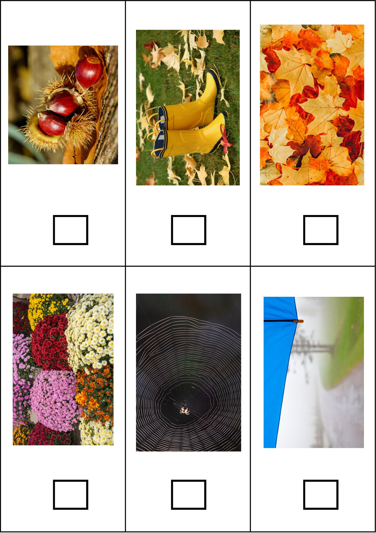 Preview van HerfstBingo-speelkaarten.pdf