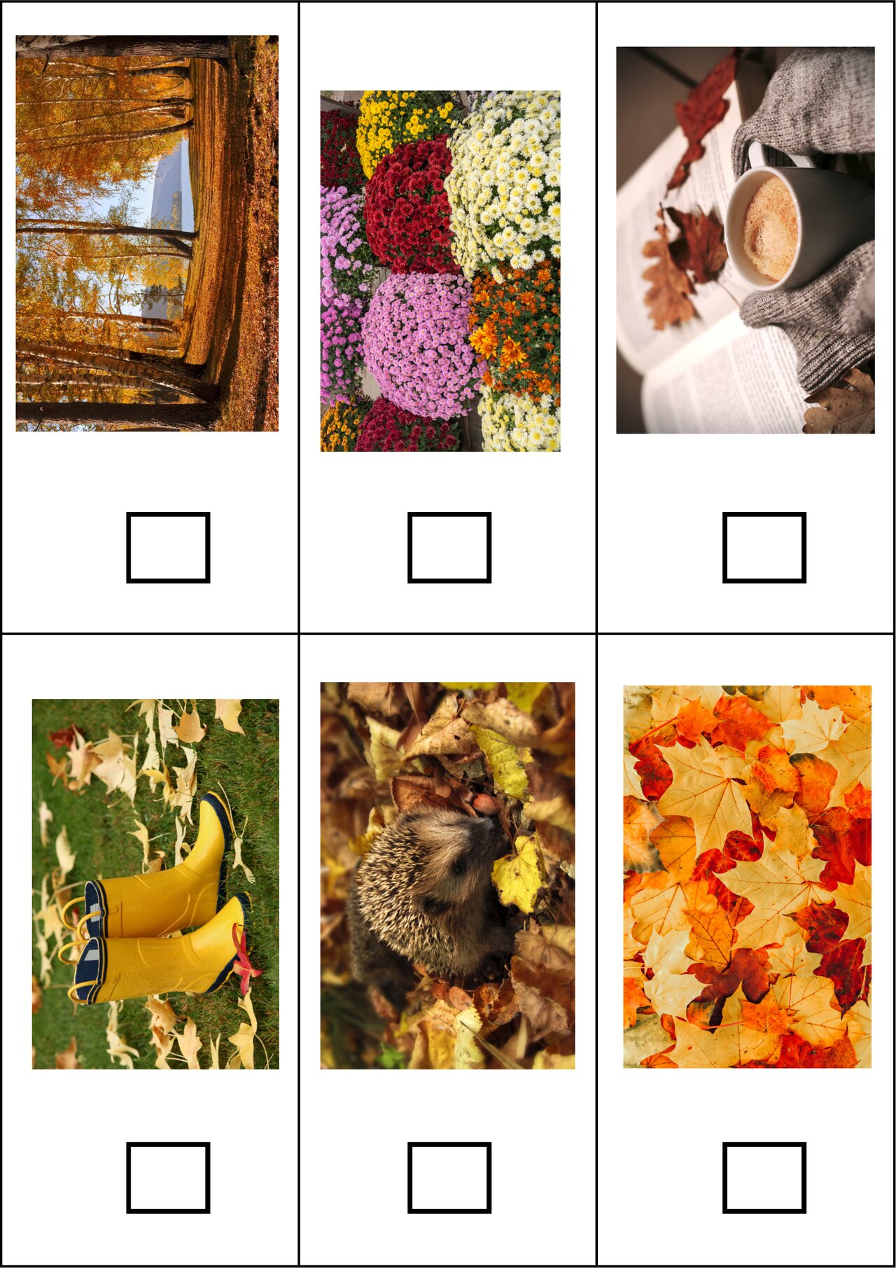 Preview van HerfstBingo-speelkaarten.pdf