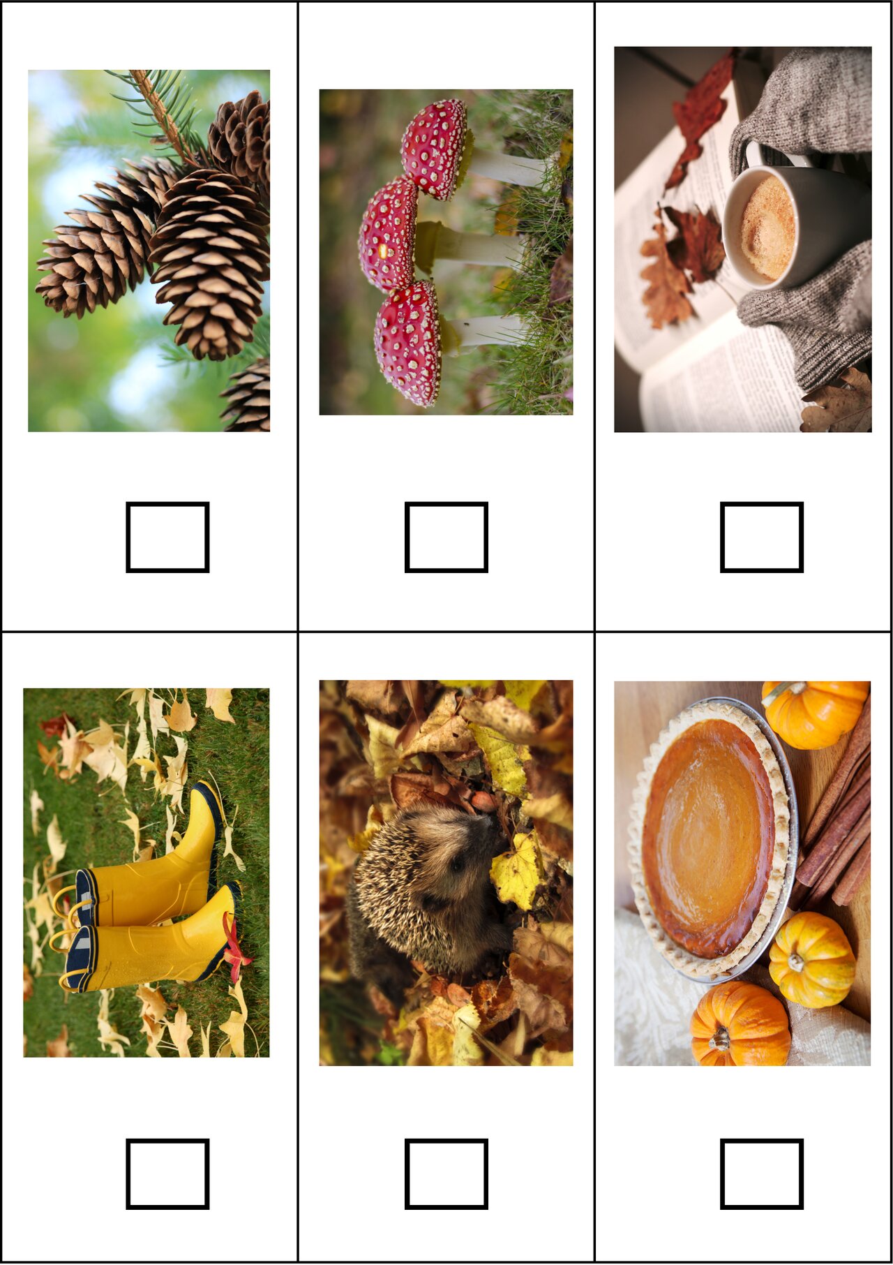 Preview van HerfstBingo-speelkaarten.pdf