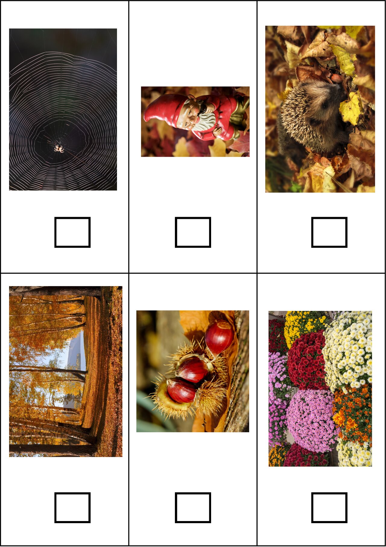 Preview van HerfstBingo-speelkaarten.pdf