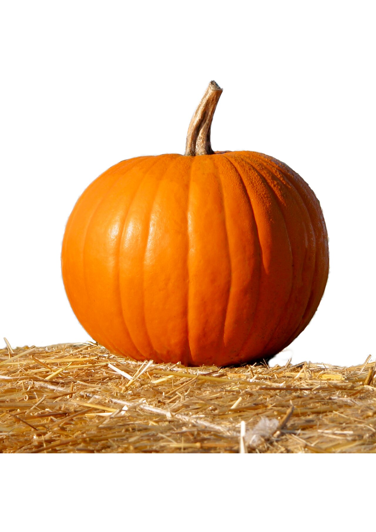 Preview van Herfstbingo-trekstapel.pdf