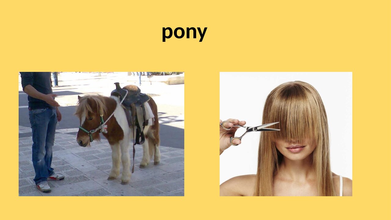 Preview van homoniemenquiz.pptx