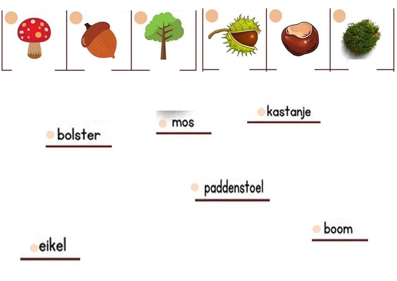 Preview van woord-verbinden.jpg