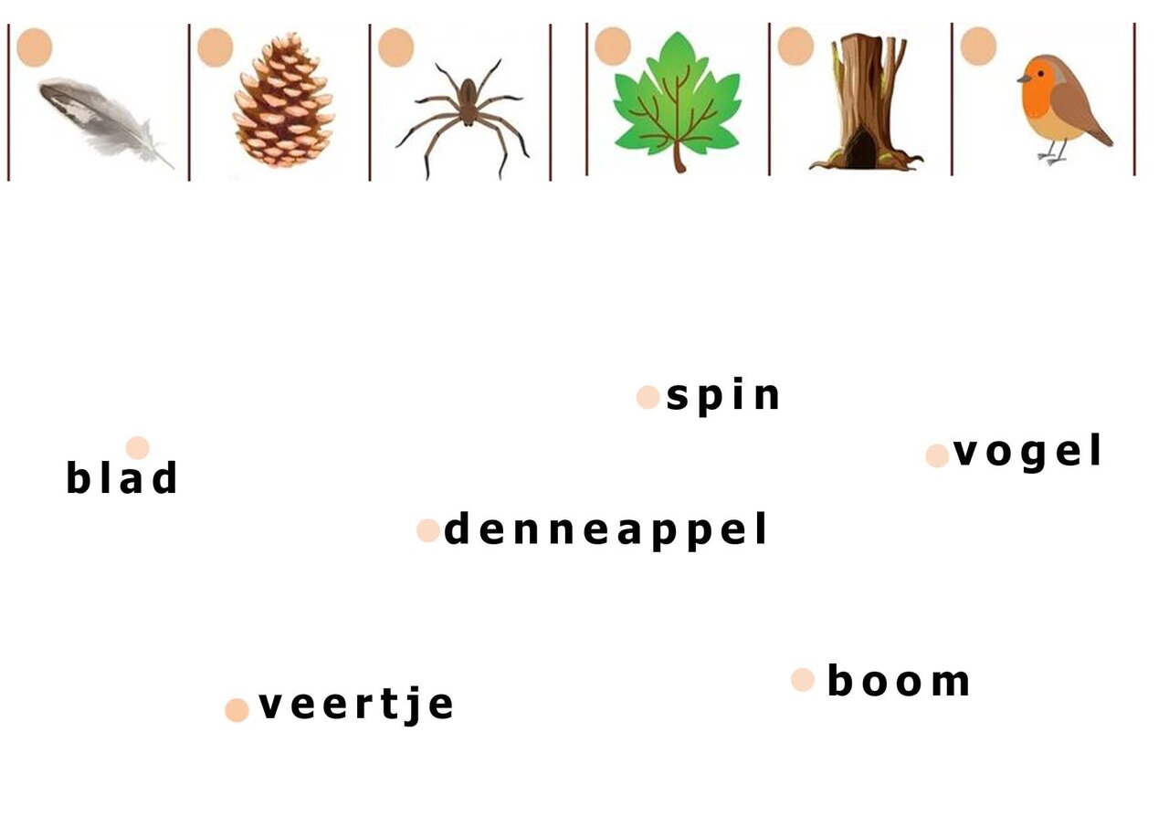 Preview van woord-verbinden-2.jpg