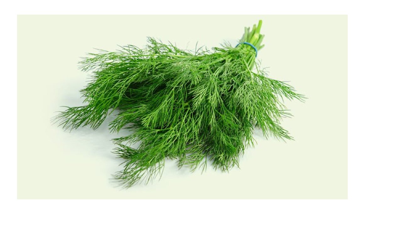 Preview van 20240318-Train-Je-Brein.pptx