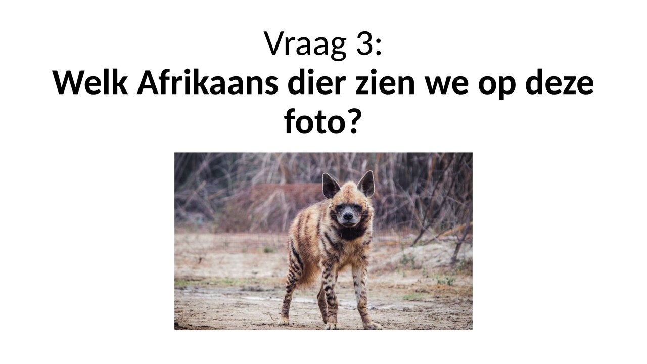 Preview van 20201013-Afrikaanse-quiz.pptx