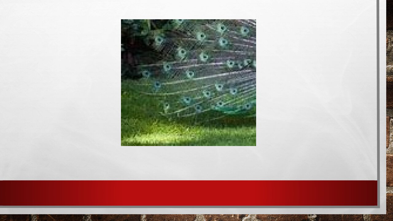 Preview van Welk-dier-ben-ik.pptx