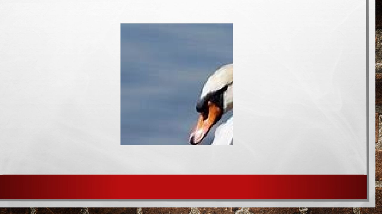 Preview van Welk-dier-ben-ik.pptx