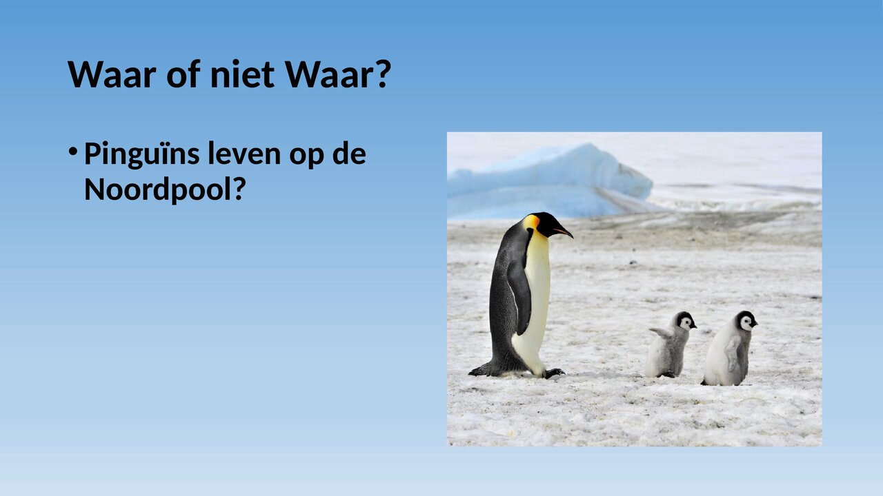 Preview van Waar-of-niet-waar-Wintereditie.pptx
