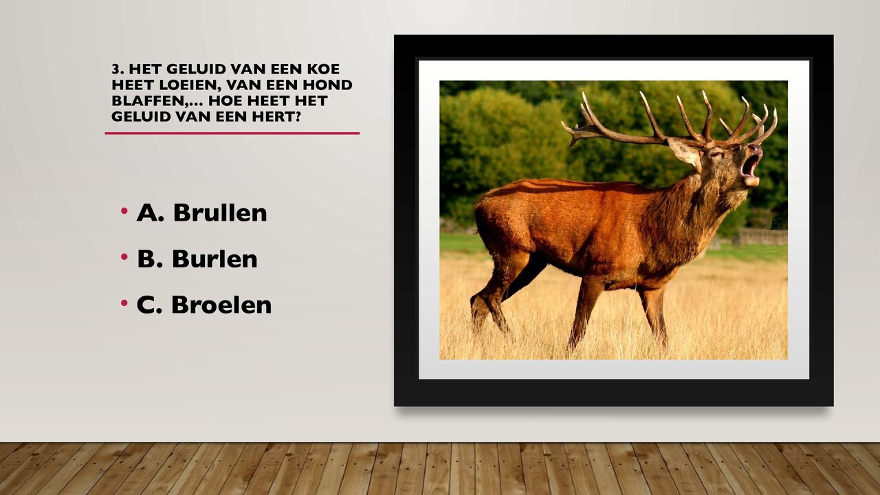 Preview van weetjesquiz.pptx