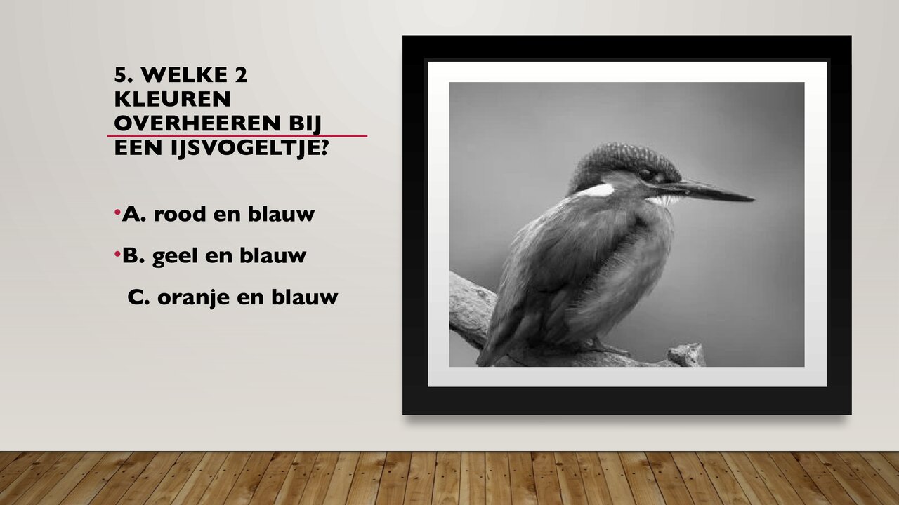 Preview van weetjesquiz.pptx