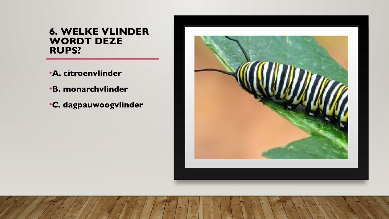 Preview van weetjesquiz.pptx