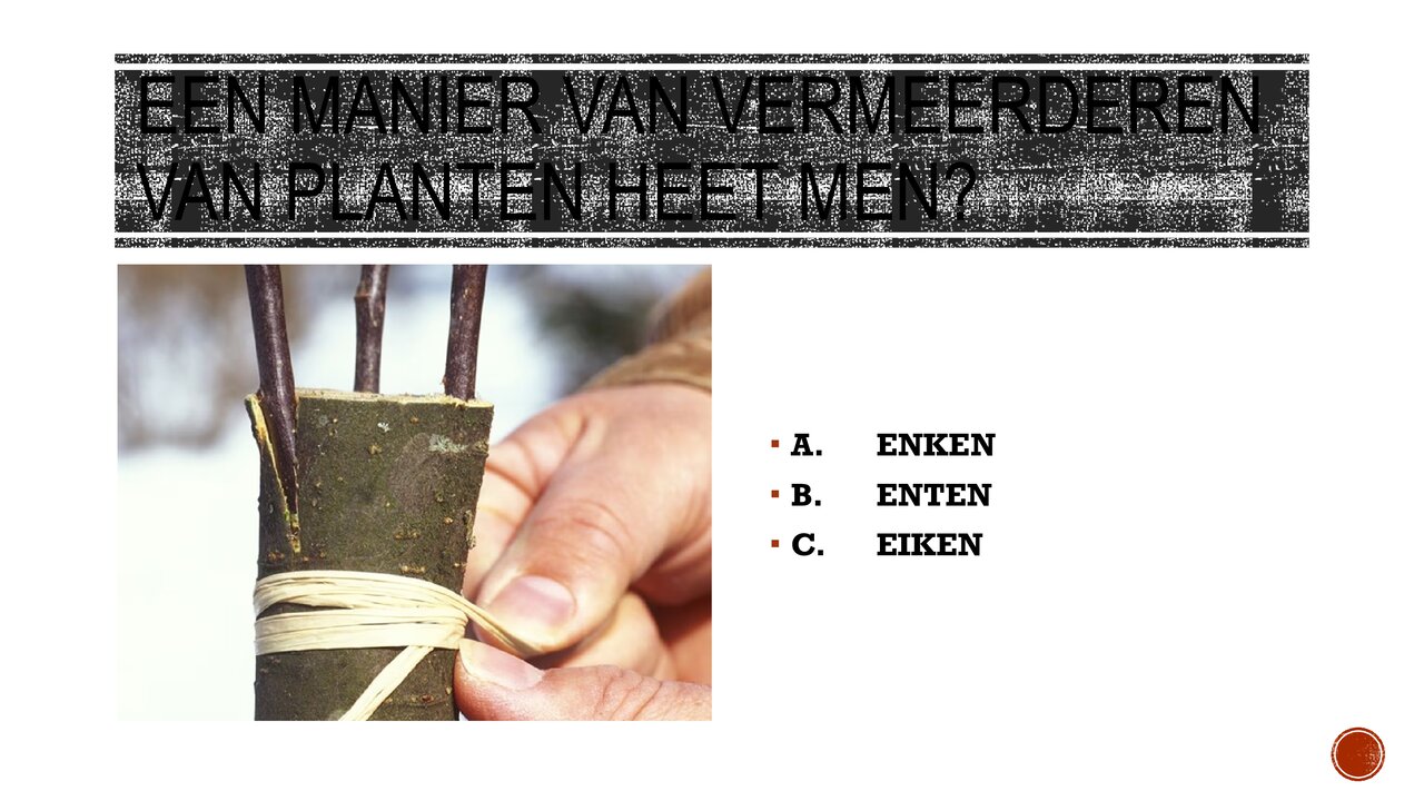 Preview van A-b-c-quiz.pptx