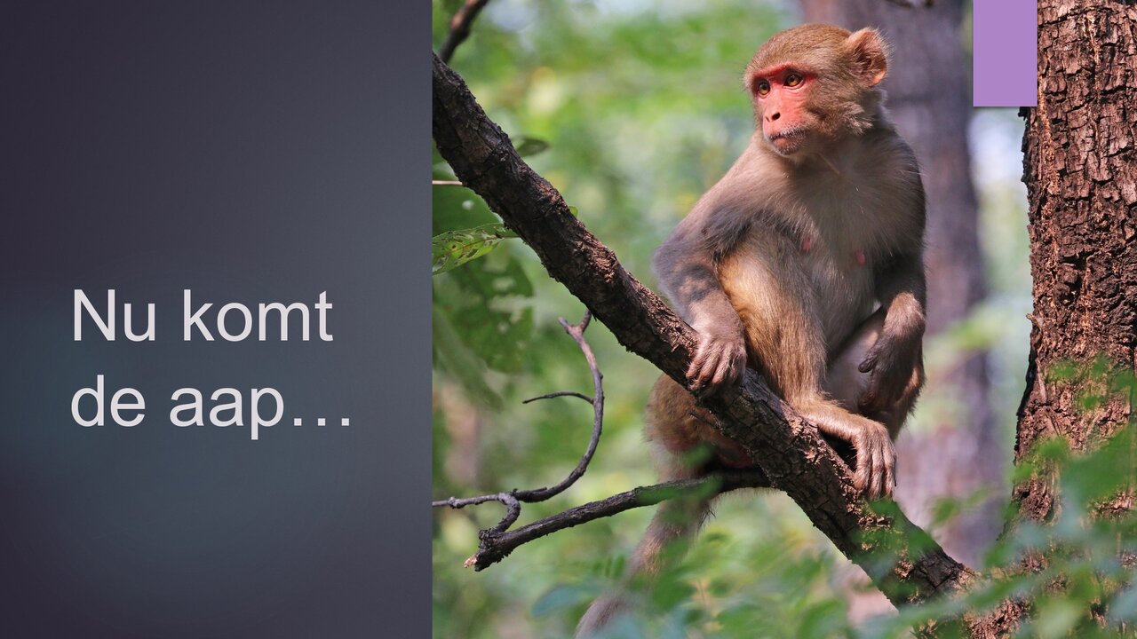 Preview van Spreekwoorden.pptx