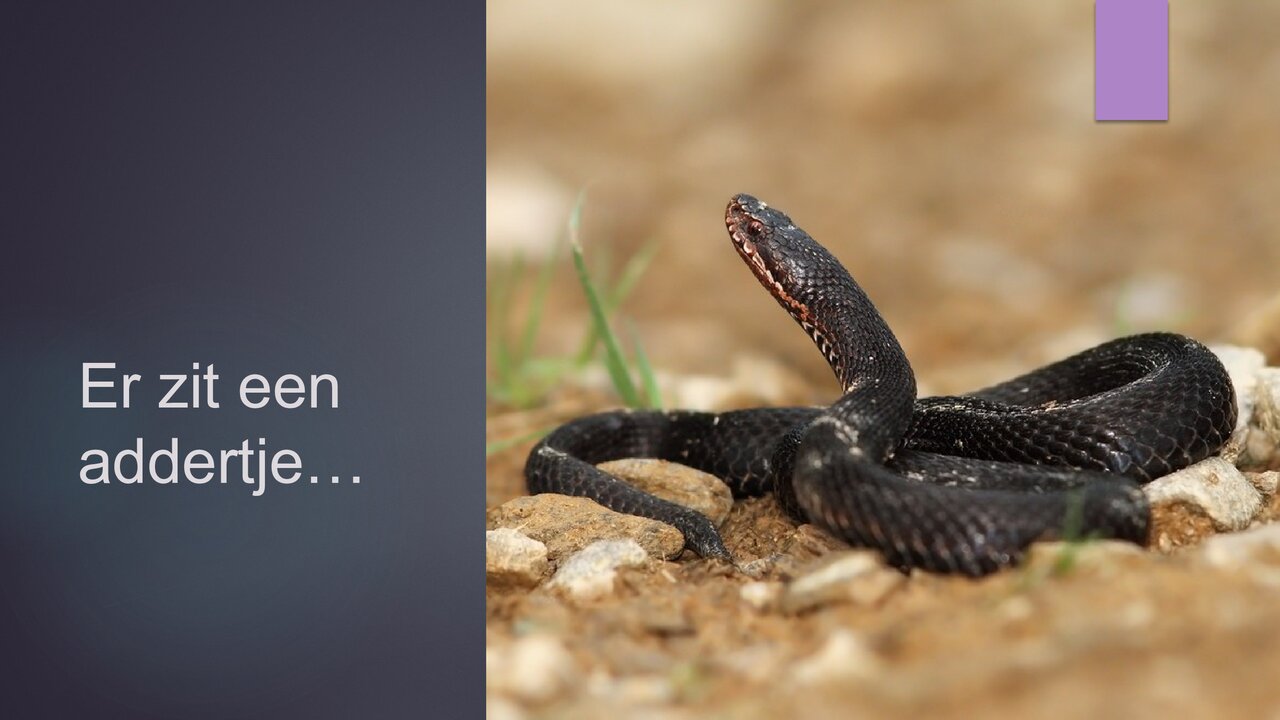 Preview van Spreekwoorden.pptx