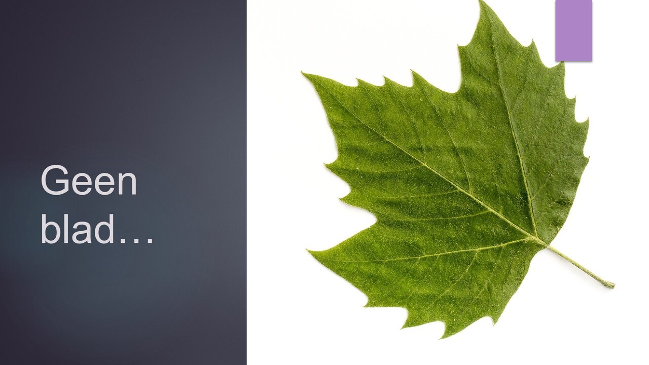 Preview van Spreekwoorden.pptx