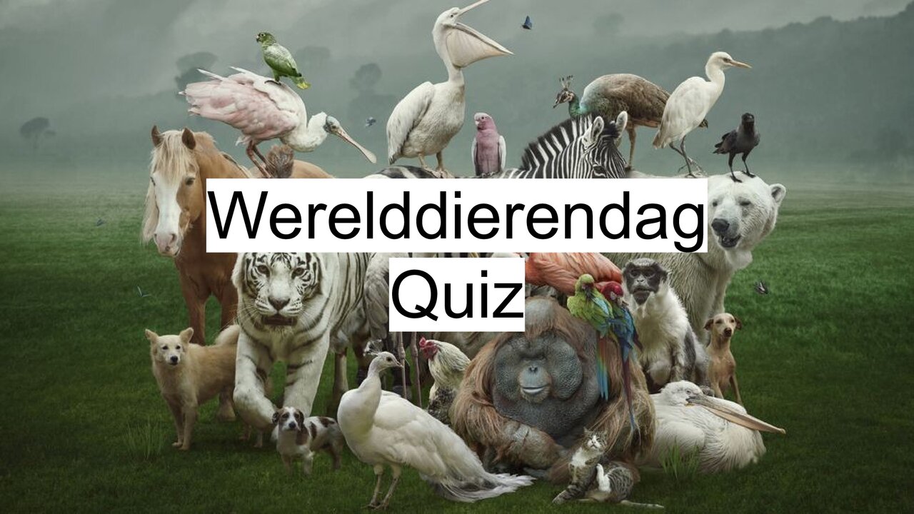 Preview van Werelddierendag-Quiz.pptx