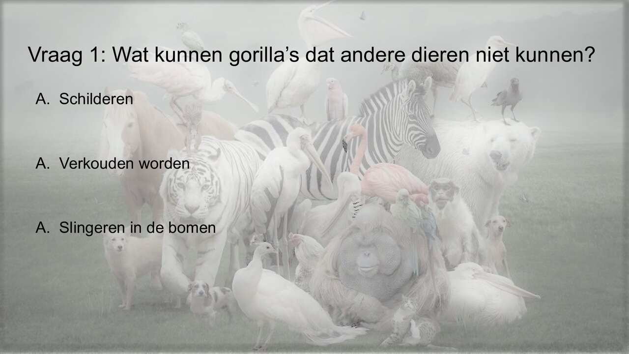 Preview van Werelddierendag-Quiz.pptx