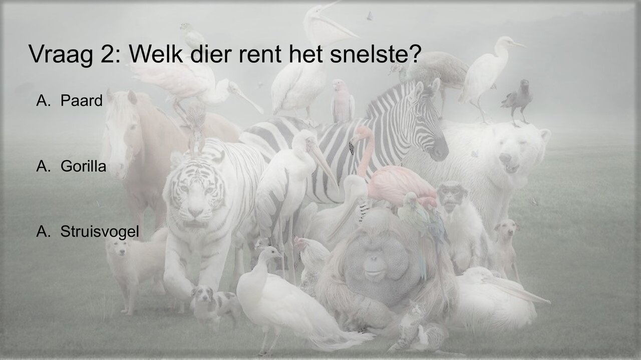 Preview van Werelddierendag-Quiz.pptx