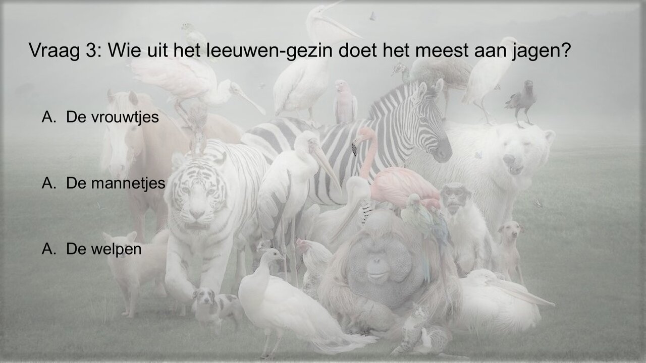 Preview van Werelddierendag-Quiz.pptx