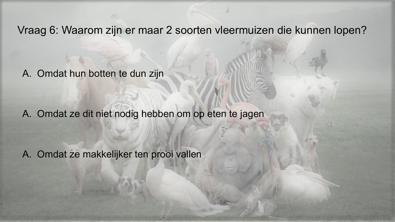 Preview van Werelddierendag-Quiz.pptx