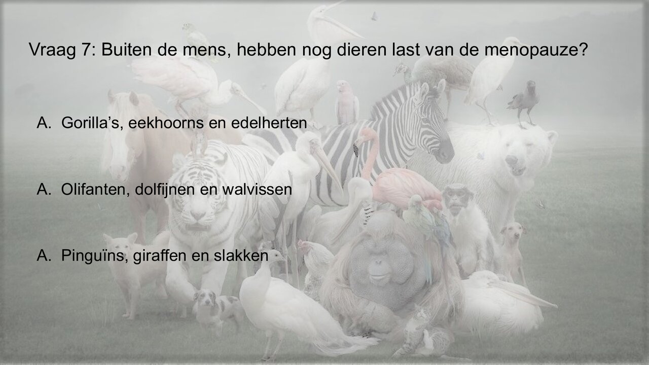 Preview van Werelddierendag-Quiz.pptx