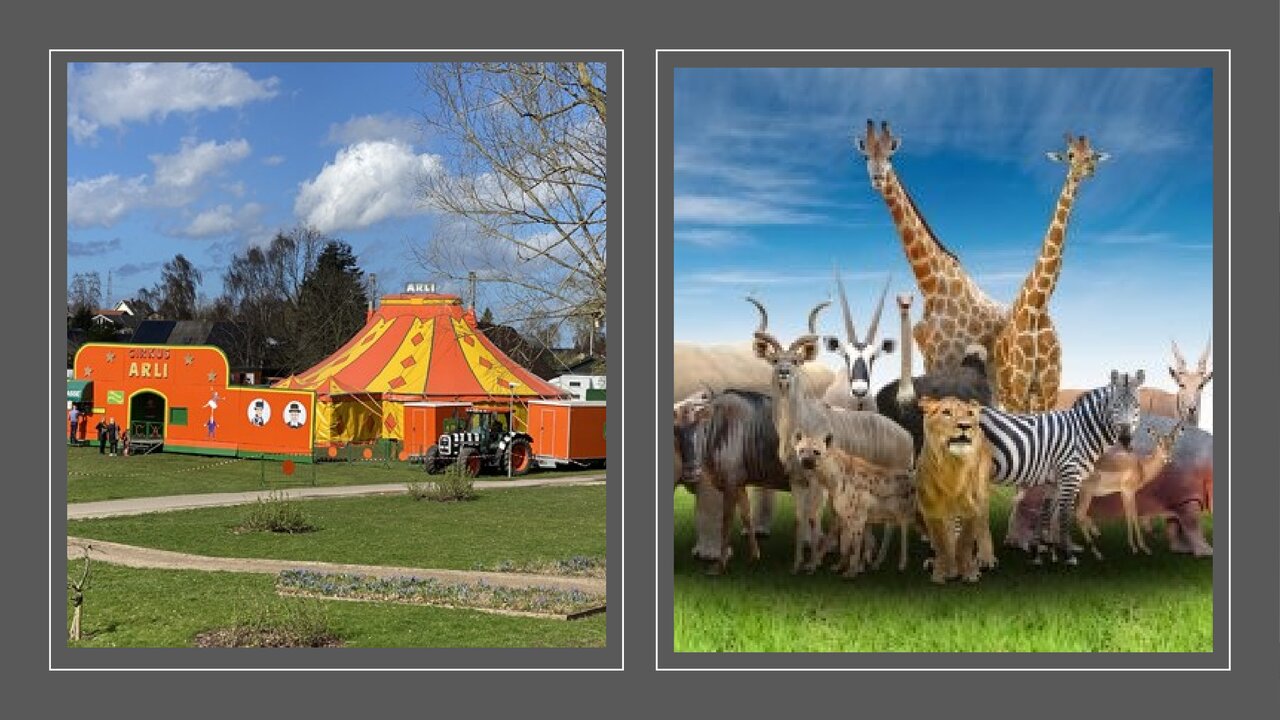 Preview van hersengymnastiek.odp