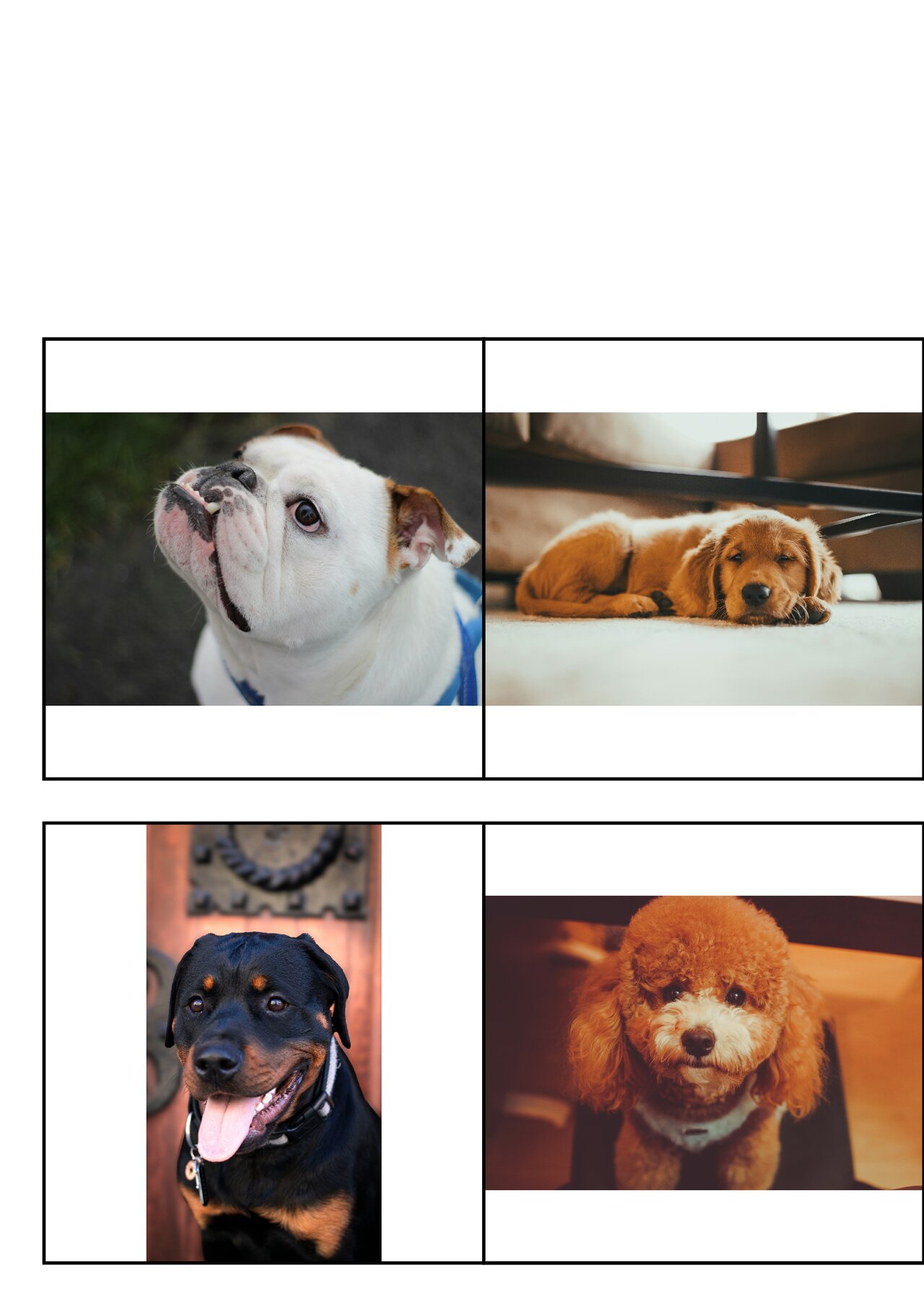 Preview van honden_memoryspel_afwisselend_mirror.pdf