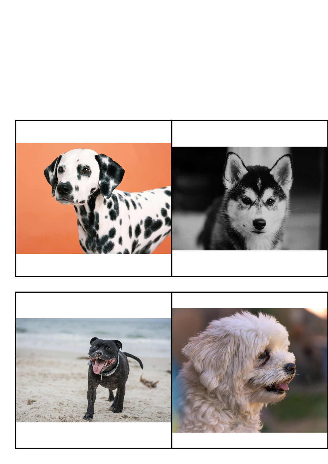 Preview van honden_memoryspel_afwisselend_mirror.pdf