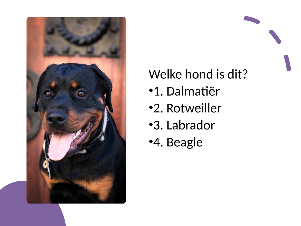 Preview van Hondenquiz.pptx