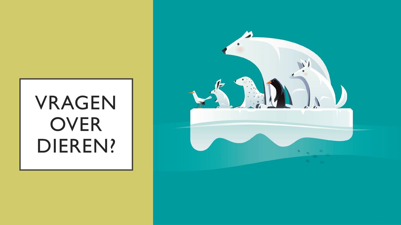 Preview van Quiz-over-dieren.pptx