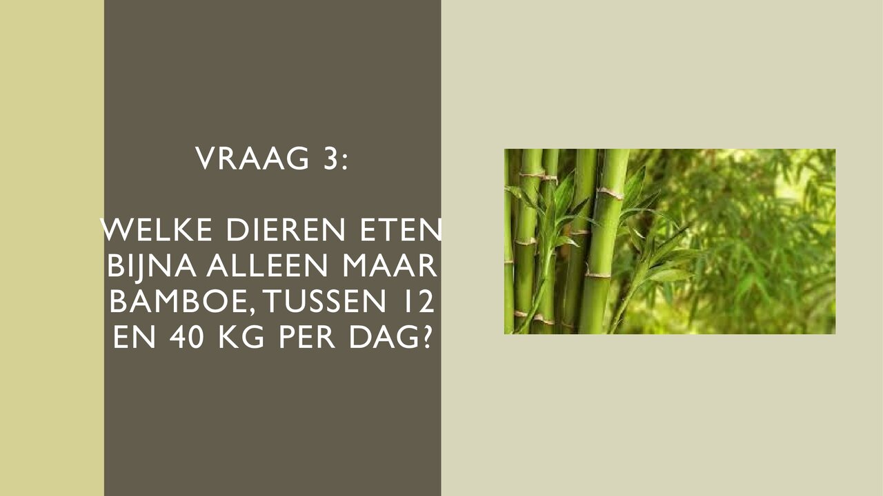 Preview van Quiz-over-dieren.pptx