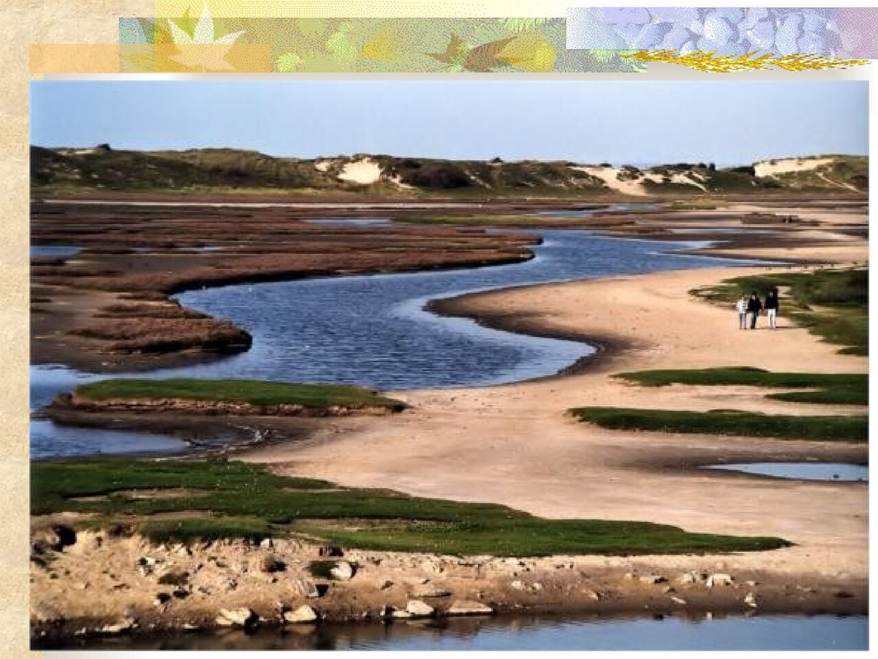 Preview van Dierenquiz.ppt