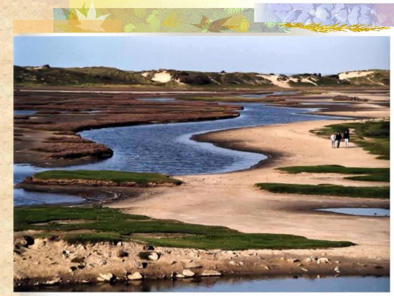 Preview van Dierenquiz-(1).pdf