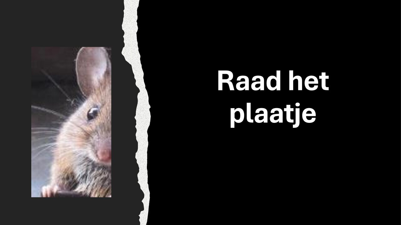 Preview van RAAD-HET-PLAATJE-2.pdf