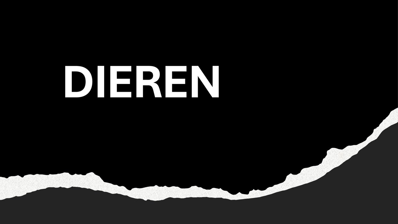 Preview van RAAD-HET-PLAATJE-2.pdf