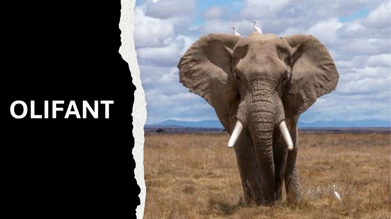 Preview van RAAD-HET-PLAATJE-2.pdf