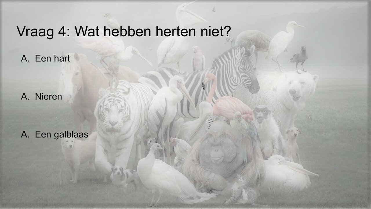 Preview van Werelddierendag-Quiz.pdf