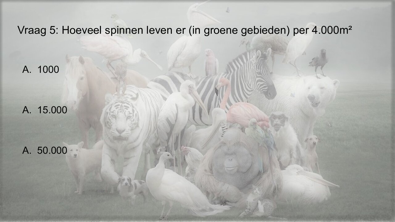 Preview van Werelddierendag-Quiz.pdf
