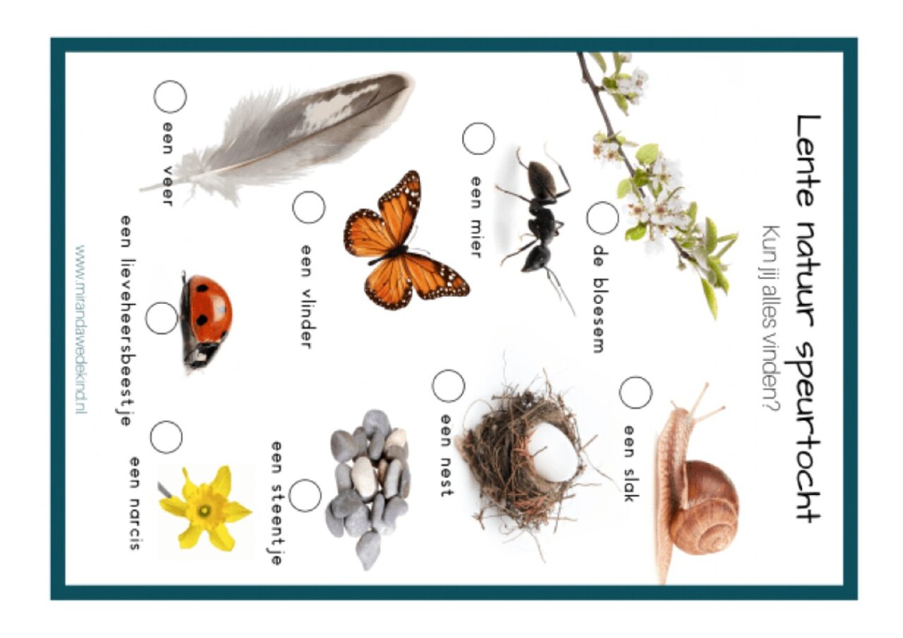 Preview van geheugentraining---wat-stond-er-op-de-foto.pdf