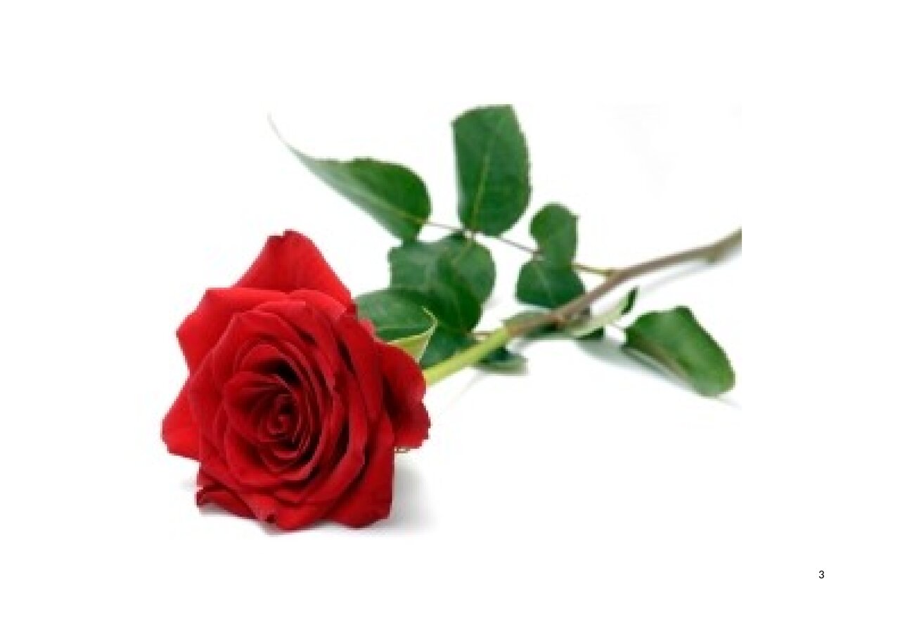 Preview van lied-raden-foto's---Microsoft-Office-Word-document.pdf