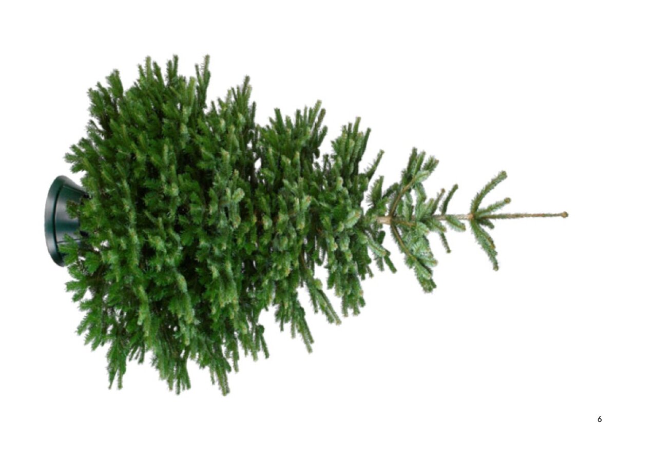 Preview van lied-raden-foto's---Microsoft-Office-Word-document.pdf