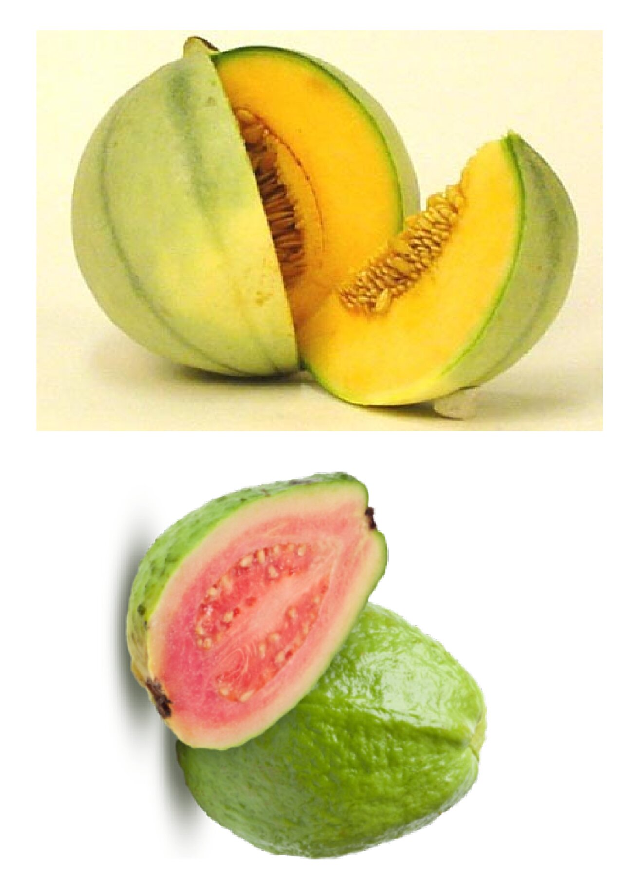 Preview van fruitbingo-kaarten-om-te-tonen.pdf