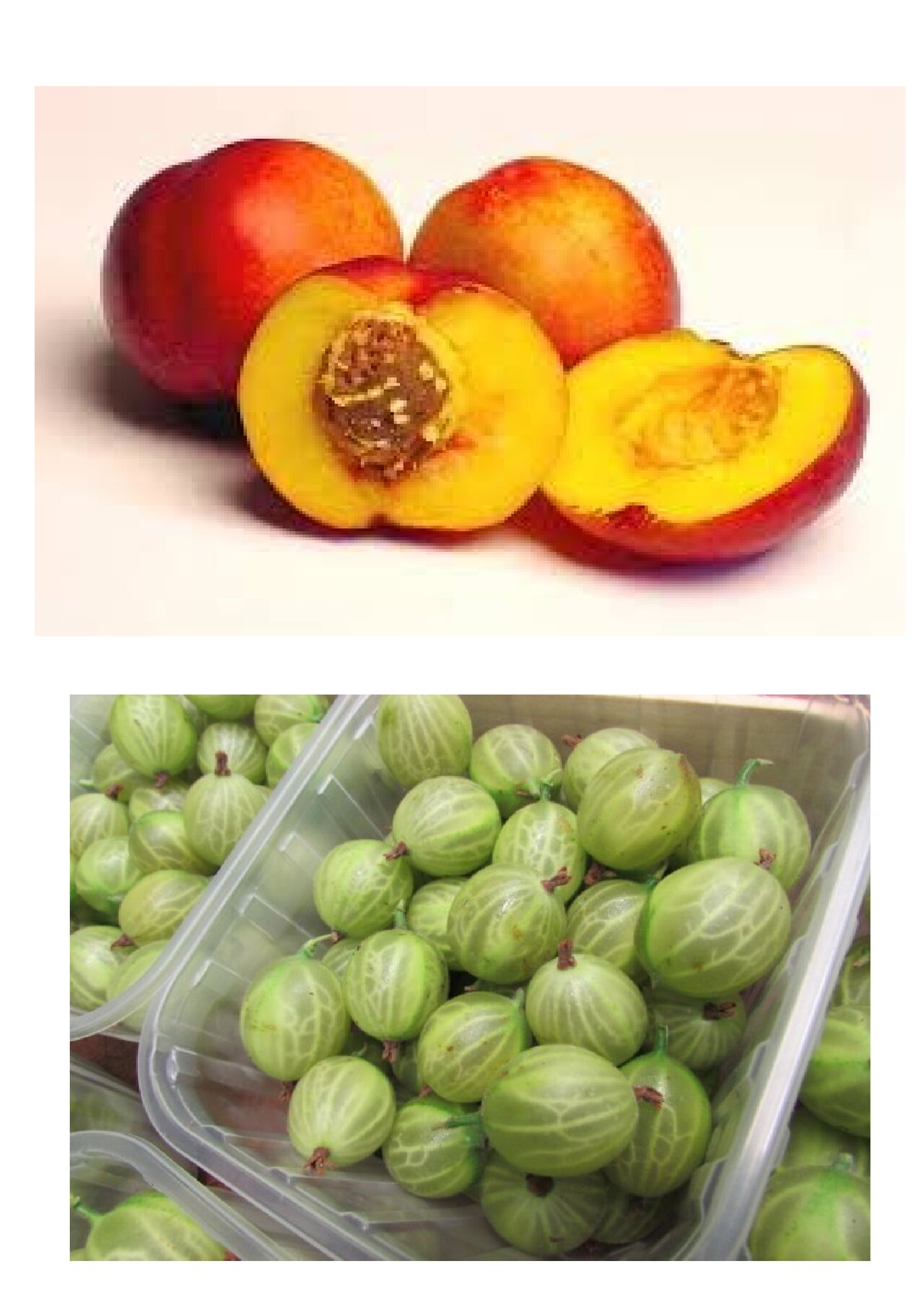 Preview van fruitbingo-kaarten-om-te-tonen.pdf