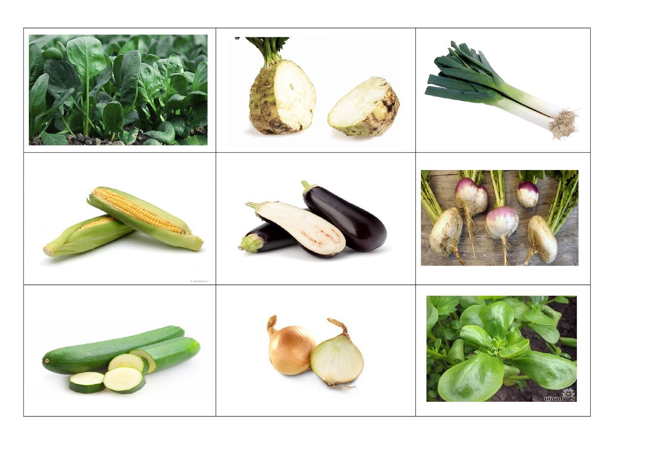 Preview van groentenbingo--bingokaarten.pdf
