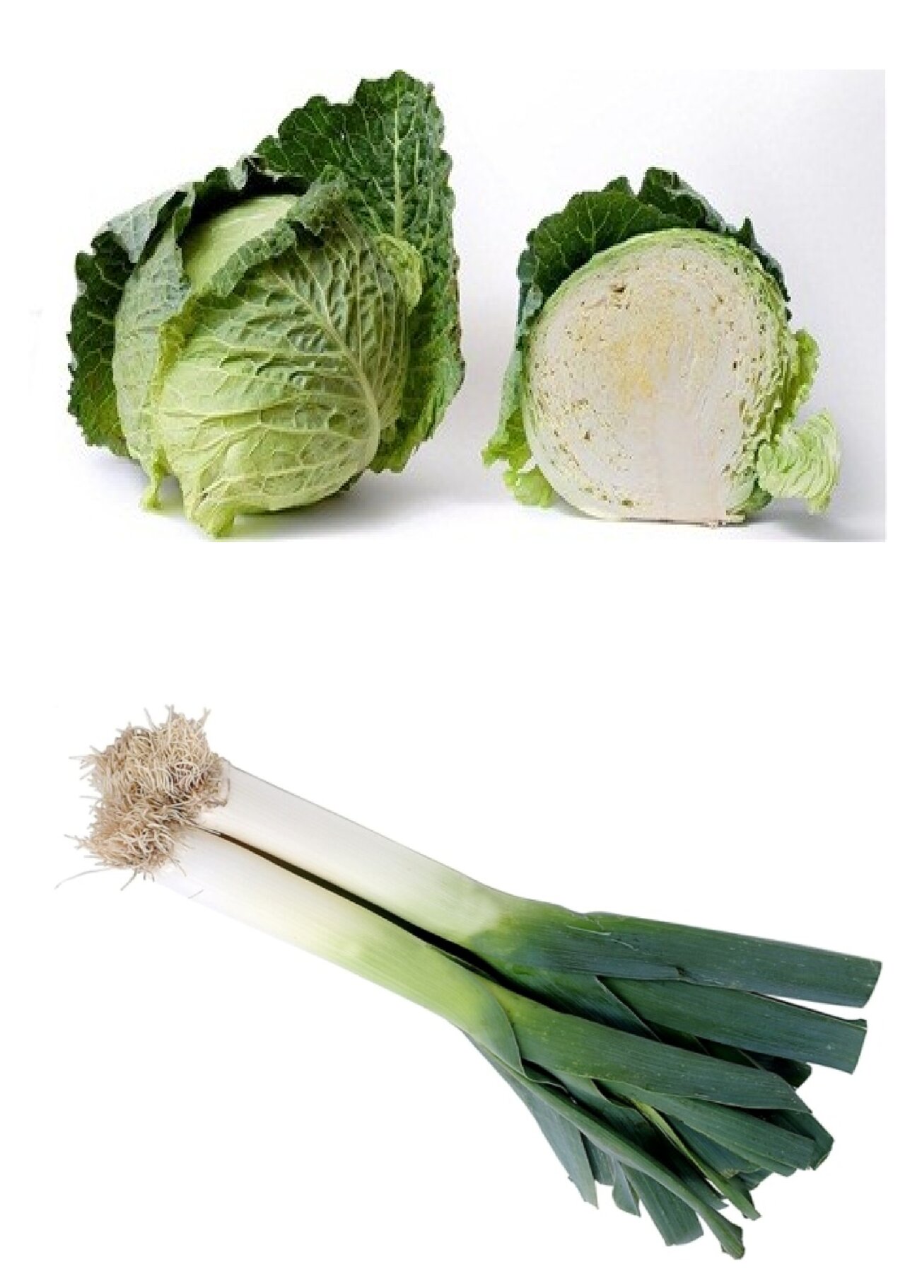 Preview van groentenbingo-kaarten-om-te-tonen.pdf