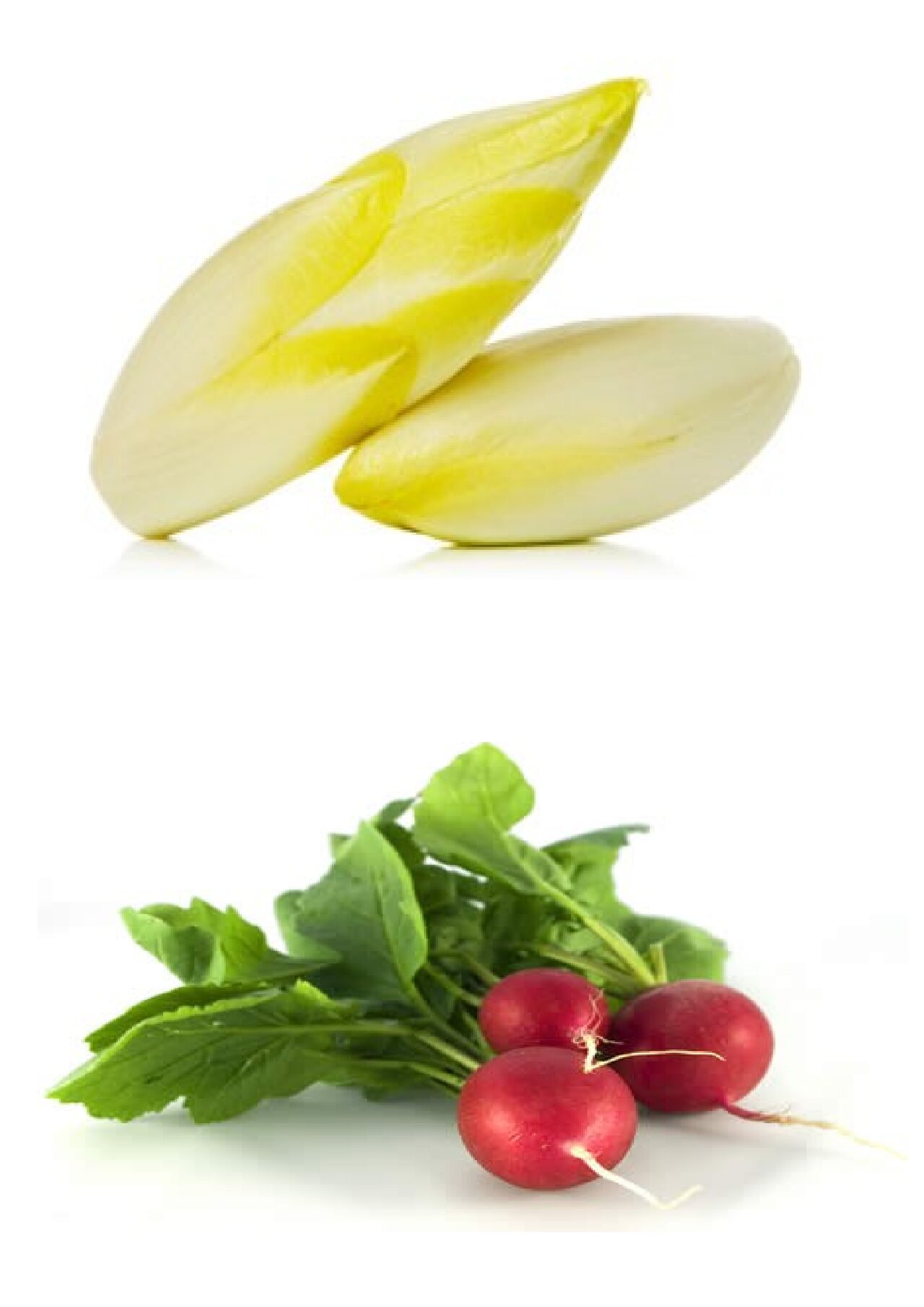 Preview van groentenbingo-kaarten-om-te-tonen.pdf