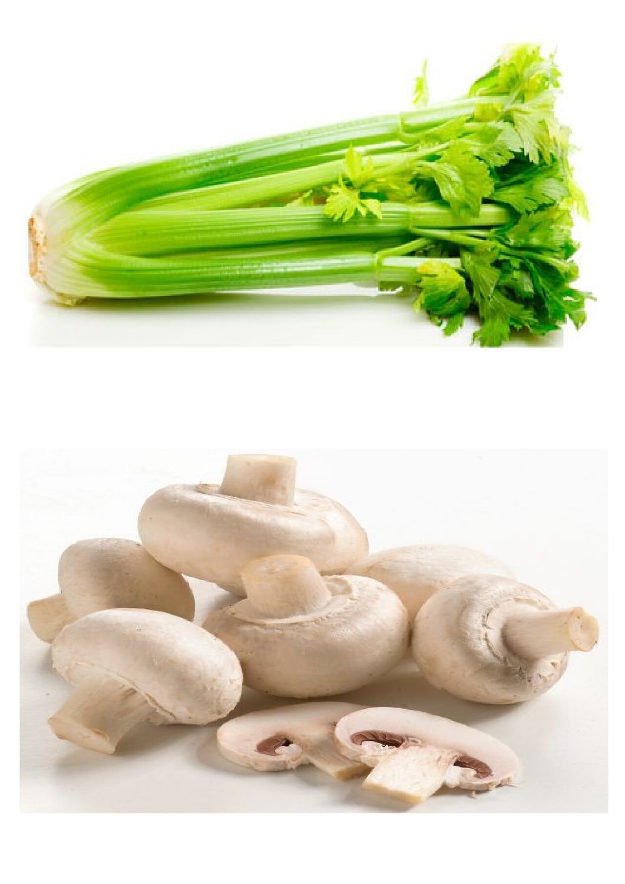 Preview van groentenbingo-kaarten-om-te-tonen.pdf